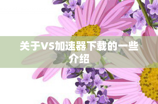 关于VS加速器下载的一些介绍图片