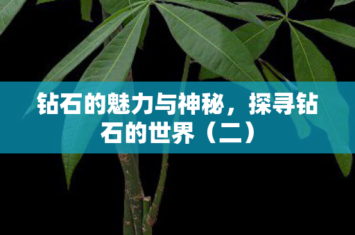 钻石的魅力与神秘图片