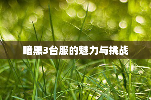 暗黑3台服的魅力与挑战图片