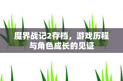 游戏历程与角色成长的见证图片