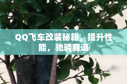 QQ飞车改装秘籍图片