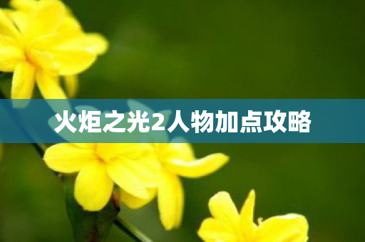 火炬之光2人物加点攻略图片