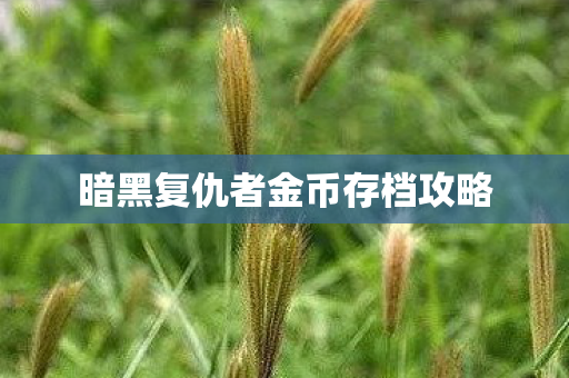 暗黑复仇者金币存档攻略图片