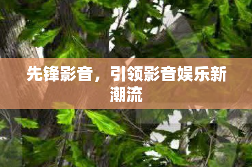 引领影音娱乐新潮流图片