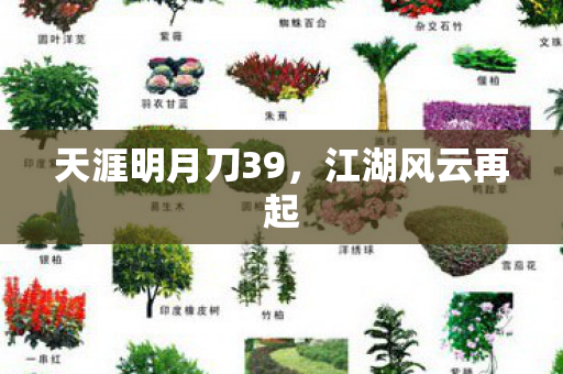 天涯明月刀39图片