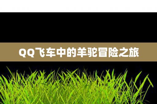 QQ飞车中的羊驼冒险之旅图片