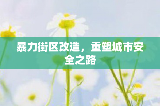 重塑城市安全之路图片
