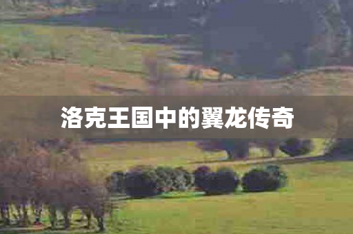 洛克王国中的翼龙传奇图片