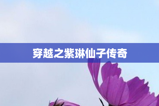 穿越之紫琳仙子传奇图片