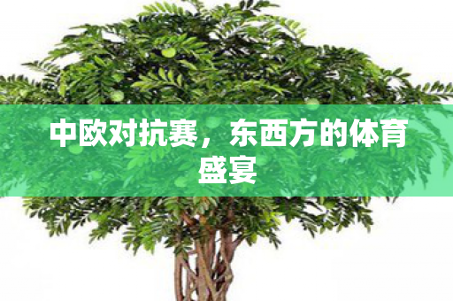 东西方的体育盛宴图片