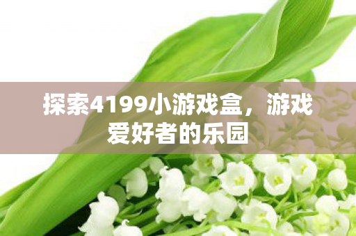 探索4199小游戏盒图片
