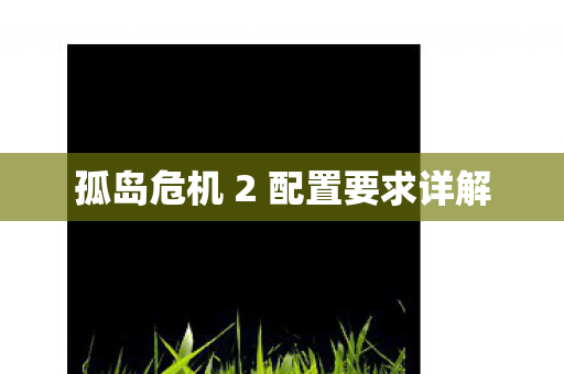 孤岛危机 2 配置要求详解图片