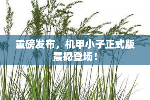机甲小子正式版震撼登场图片