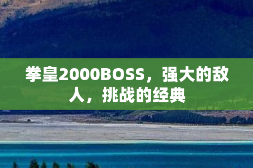 拳皇2000BOSS图片