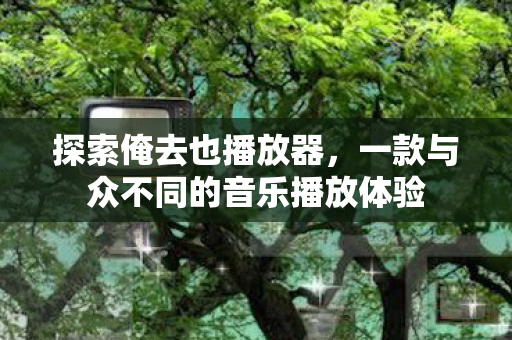 一款与众不同的音乐播放体验图片