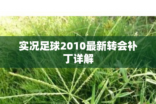 实况足球2010最新转会补丁详解图片