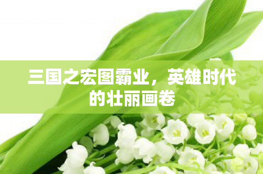 英雄时代的壮丽画卷图片