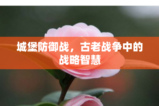 古老战争中的战略智慧图片