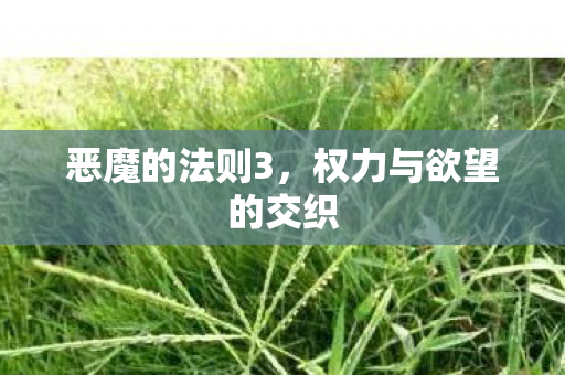 权力与欲望的交织图片