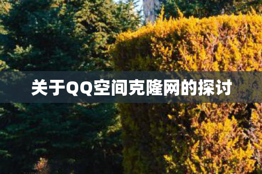 关于QQ空间克隆网的探讨图片