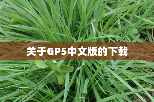 关于GP5中文版的下载图片