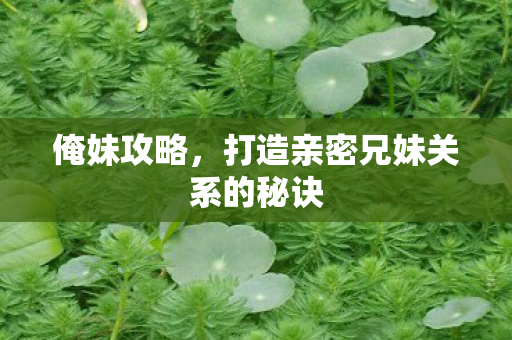 打造亲密兄妹关系的秘诀图片