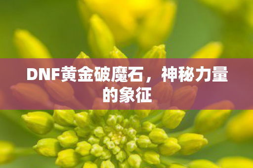 DNF黄金破魔石图片