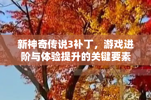 游戏进阶与体验提升的关键要素图片