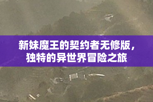 新妹魔王的契约者无修版图片