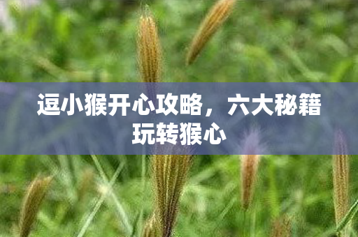 六大秘籍玩转猴心图片