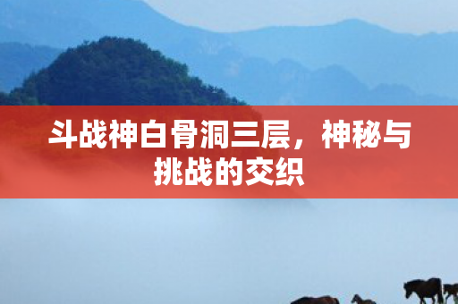 斗战神白骨洞三层图片