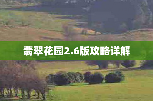 6版攻略详解图片