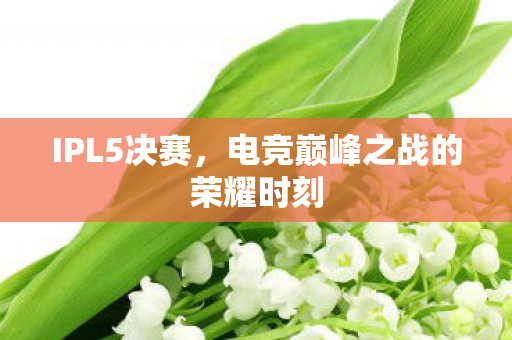 电竞巅峰之战的荣耀时刻图片