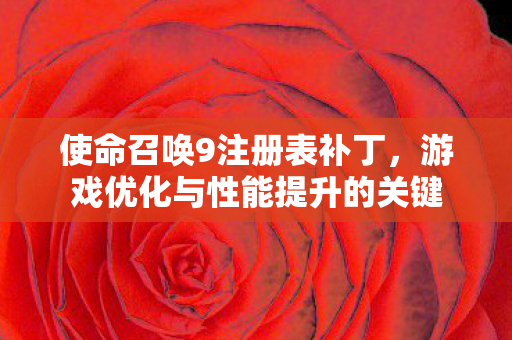 游戏优化与性能提升的关键图片