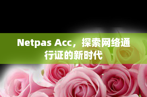 探索网络通行证的新时代图片
