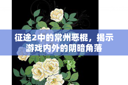 揭示游戏内外的阴暗角落图片