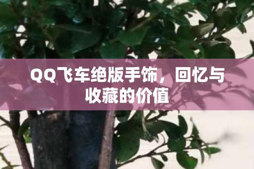 QQ飞车绝版手饰图片