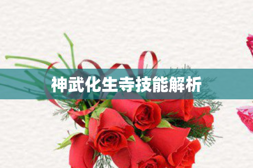 神武化生寺技能解析图片