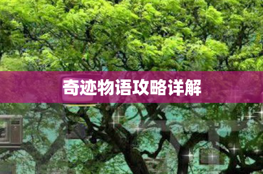 奇迹物语攻略详解图片