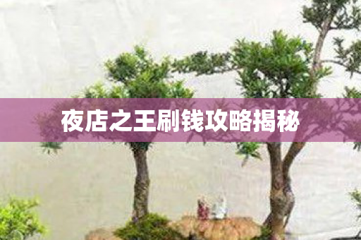 夜店之王刷钱攻略揭秘图片
