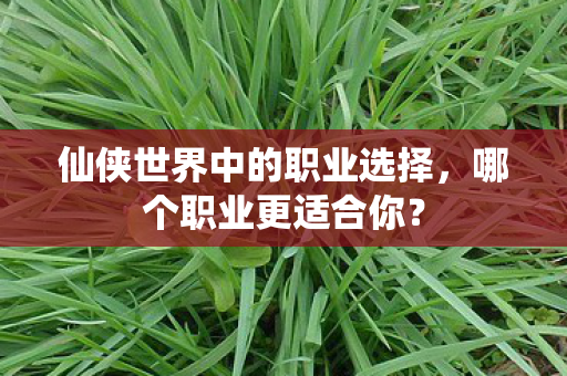 仙侠世界中的职业选择图片