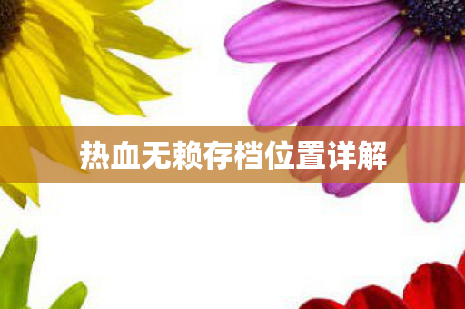 热血无赖存档位置详解图片