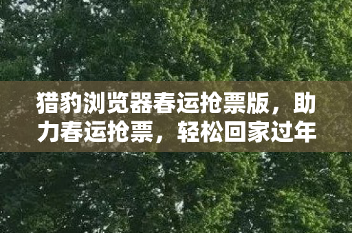 猎豹浏览器春运抢票版图片