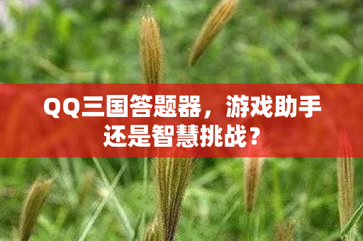 游戏助手还是智慧挑战图片