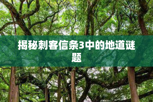 揭秘刺客信条3中的地道谜题图片