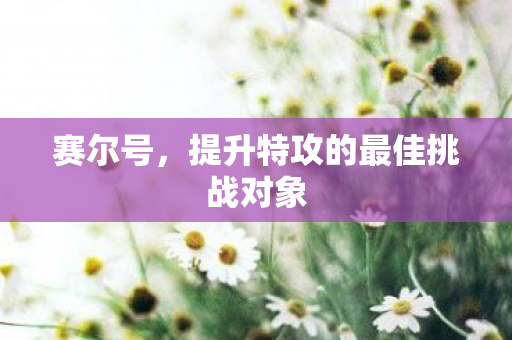 提升特攻的最佳挑战对象图片