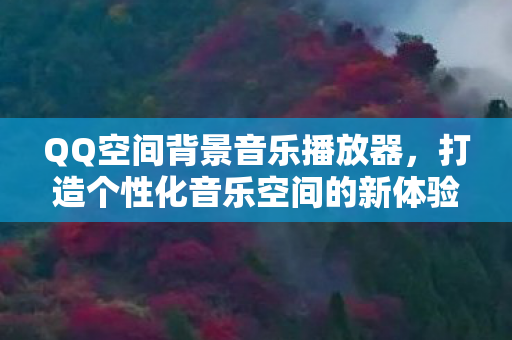 打造个性化音乐空间的新体验图片