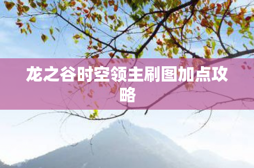龙之谷时空领主刷图加点攻略图片