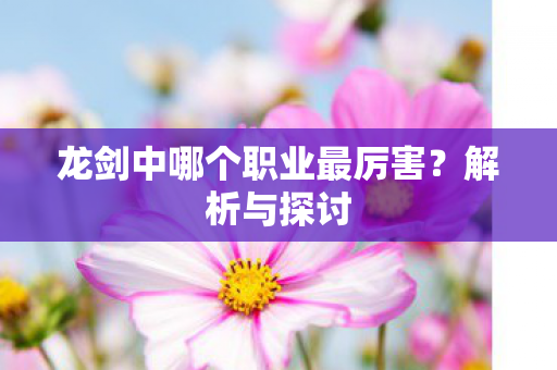 龙剑中哪个职业最厉害图片