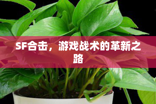 游戏战术的革新之路图片